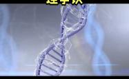 VAR判罚再引争议，格列兹曼对阵本菲卡裁判判点引发巨大争议的简单介绍