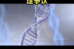 VAR判罚再引争议，格列兹曼对阵本菲卡裁判判点引发巨大争议的简单介绍